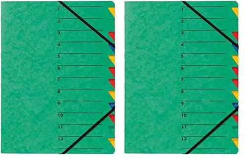 Pagna Ordnungsmappe Easy (Sammelmappe, 12 Fächer, 1-12) grün, A4 (Packung mit 2) von Pagna