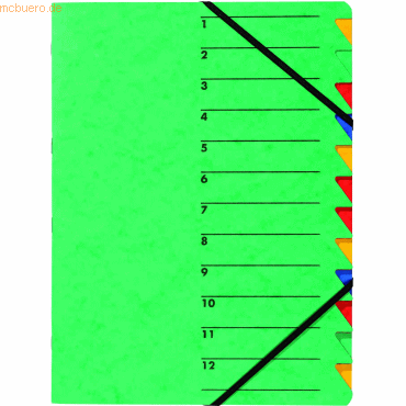 5 x Pagna Ordnungsmappe Easy A4 Karton 12 Fächer grün von Pagna