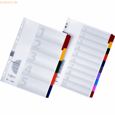 20 x Pagna Register A4 10-teilig Mylar-Karton 20 x Pagna Register A4 10-teilig Mylar-Karton von Pagna