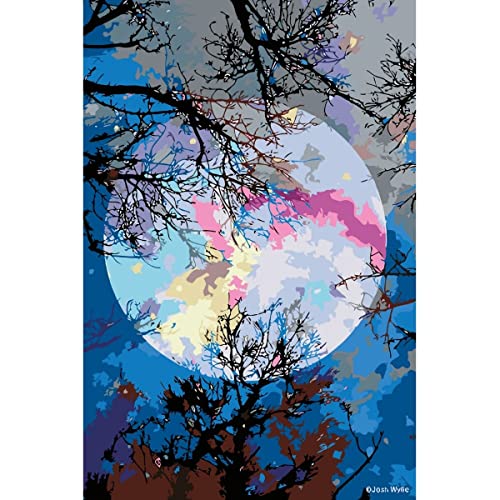 Painteree DIY set | Malen nach Zahlen erwachsene | Farbiger Mond von Joshua Dail (40x60 cm) | Eingerahmt auf einem Holzrahmen mit Pinsel und Acrylfarben set von Painteree