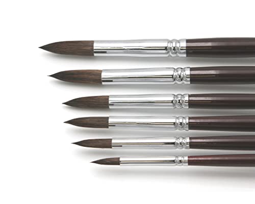 Paintersisters® Künstler Pinselset 2" für Acryl & Ölfarbe, 6 hochwertige Pinsel aus Naturhaar Größen 2-18, runde Spitzen Premium Set 2 Paintersisters® Künstler Pinselset 2" für Acryl & Ölfarbe, 6 hochwertige Pinsel aus Naturhaar Größen 2-18, runde Spitzen Premium Set 2 von Paintersisters