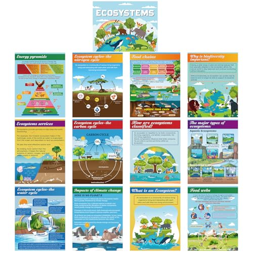 Pajean 13 Stück Ecosystems Pinnwand Poster Wissenschaft Unterricht Poster Klassenzimmer Dekorationen für Mittelschule Biologische Lebensmittel Netz Kette Pinnwand für Tür Wand Dekor Bildungsbedarf Pajean 13 Stück Ecosystems Pinnwand Poster Wissenschaft Unterricht Poster Klassenzimmer Dekorationen für Mittelschule Biologische Lebensmittel Netz Kette Pinnwand für Tür Wand Dekor Bildungsbedarf von Pajean