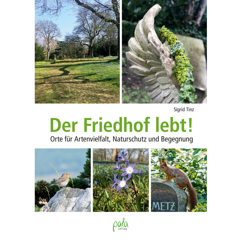 Der Friedhof Lebt! - Sigrid Tinz, Gebunden von Pala-Verlag