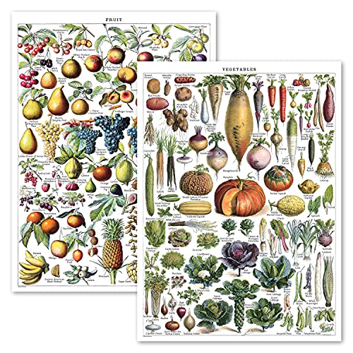 Palace Learning Vintage-Poster mit Obst und Gemüse – Referenztabelle für botanische Identifikation, Küchendekorationen – Set mit 2 Postern (laminiert, 45,7 x 61 cm) von Palace Learning