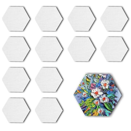 12 Stück Leinwand-Set zum Bemalen – Magnetische Baumwoll-Leinwände für Acryl-, Öl- & Gouachefarben inkl. Strukturpaste (Hexagon 12) von PanBeiQi