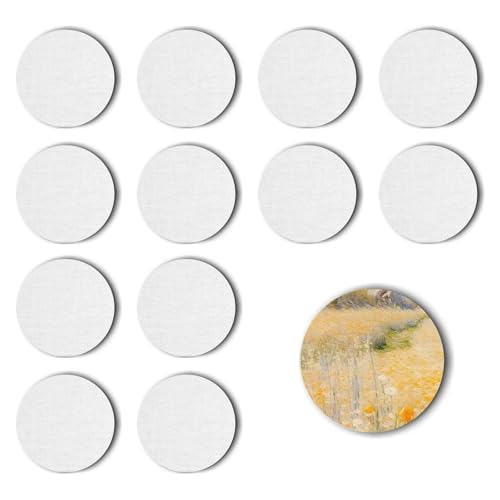 12 Stück Leinwand-Set zum Bemalen – Magnetische Baumwoll-Leinwände für Acryl-, Öl- & Gouachefarben inkl. Strukturpaste (Kreisförmig 12) von PanBeiQi