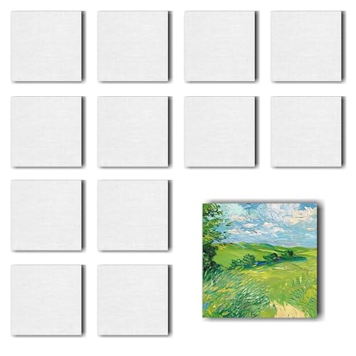 12 Stück Leinwand-Set zum Bemalen – Magnetische Baumwoll-Leinwände für Acryl-, Öl- & Gouachefarben inkl. Strukturpaste (Quadrat 12) von PanBeiQi