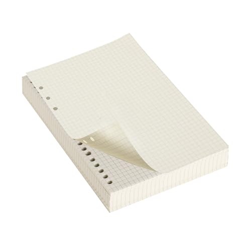 5 Packungen Ringbucheinlagen A5 Einlagen, 300 Blätter Nachfüllpapier Kariert für Notizbuch A5 Ringbuch Nachfüllbar Notizpapier, Nachfüllbare Refills für Notizbuch Skizzen Tagbuch Malerei Planer von PanBeiQi