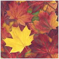 Serviette "Harvest Harmony" von Paper+Design
