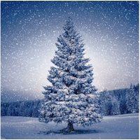 Serviette "Magic Tree" von Paper+Design