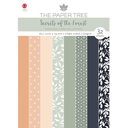 Paper Tree PTC1114 Secrets of The Forest – Essential Colour Card, Erdliche Töne, A6 von Paper Tree
