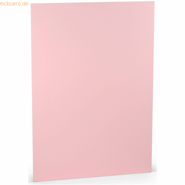 10 x Paperado Briefpapier A4 160g/qm VE=10 Blatt Flamingo von Paperado