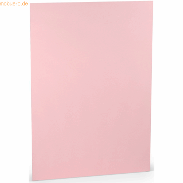 10 x Paperado Karton A4 220g/qm VE=5 Blatt Flamingo 10 x Paperado Karton A4 220g/qm VE=5 Blatt Flamingo von Paperado