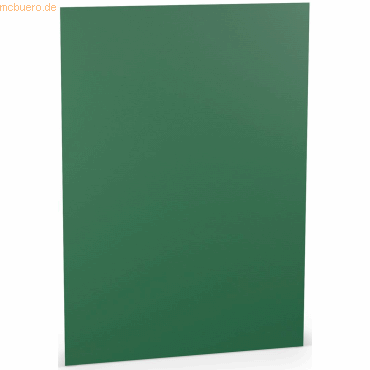 10 x Paperado Karton A4 220g/qm VE=5 Blatt Tannengrün 10 x Paperado Karton A4 220g/qm VE=5 Blatt Tannengrün von Paperado