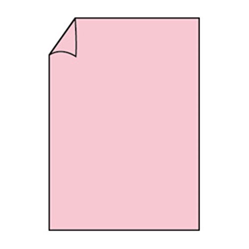 Paperado 160 gsm A4 Blatt – Flamingo (Pack von 10) von Paperado