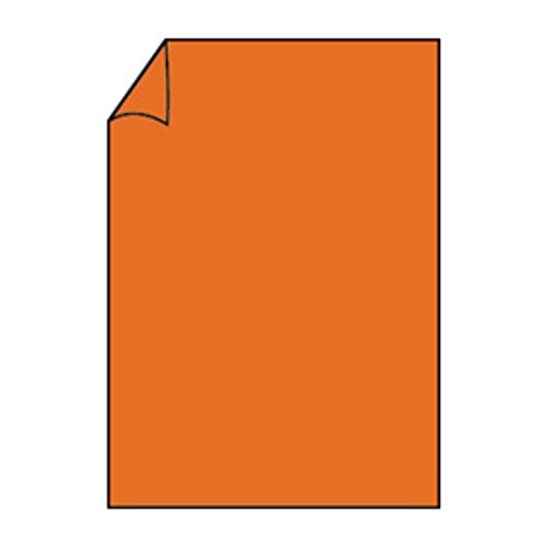 Paperado 220 gsm A4 Blatt – Aqua (5 Stück)-P - mandarin von Paperado