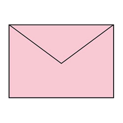 Paperado C5 Umschlag Karte – Flamingo (5 Stück) von Paperado