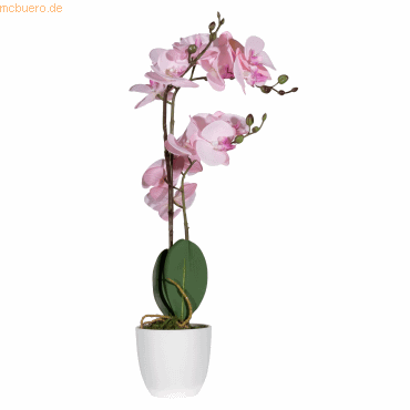 Paperflow Kunstpflanze PAORCH50 Orchidee ro 40cm Paperflow Kunstpflanze PAORCH50 Orchidee ro 40cm von Paperflow