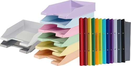 Papiertiger Premium Ringbuch aus dickem Kunststoff | DIN A4 20mm Rücken mit 2-Ring Mechanik 15mm | perfekt für Schule, Büro und Freizeit (12 Farben | Bundle Ablagen) von Papiertiger