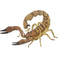 papo Wildtiere der Welt 50209 Skorpion Spielfigur papo Wildtiere der Welt 50209 Skorpion Spielfigur von Papo