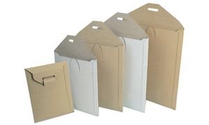PAPYRUS 88026500 Buchbox-Versandtaschen, 240 x 315 mm (Z3), braun von PAPYRUS