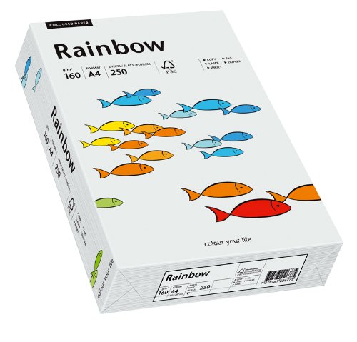 PAPYRUS 88042791 Multifunktionspapier Rainbow, A4, 160 g/qm hellgrau von Papyrus