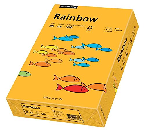 PAPYRUS Rainbow Pastell A4, 80 g qm mittelorange 500 Blatt PAPYRUS Rainbow Pastell A4, 80 g qm mittelorange 500 Blatt von Papyrus