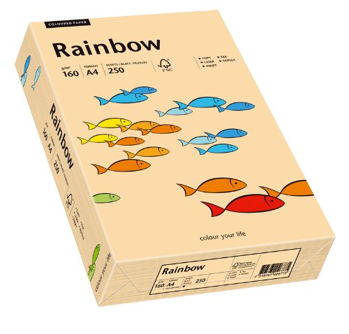 Papyrus 88042505 Drucker-/Kopierpapier bunt, Bastelpapier: Rainbow 160 g/m², A4, 250 Blatt, Matt, Farbe - Lachs von Papyrus