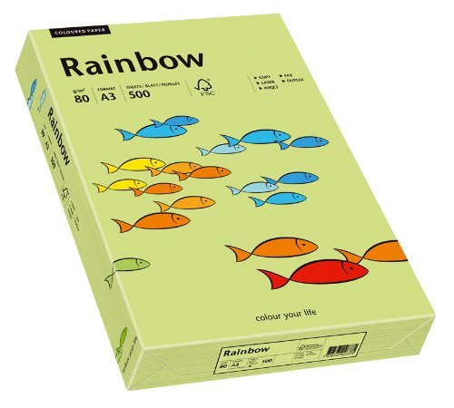 Papyrus 88042610 Druckerpapier Rainbow 80 g/m², A3 500 Blatt leuchtend grün von Papyrus