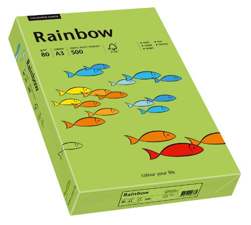Papyrus 88042654 Drucker-/Kopierpapier farbig, Bastelpapier: Rainbow 80 g/m², A3, 500 Blatt, Grün von Papyrus