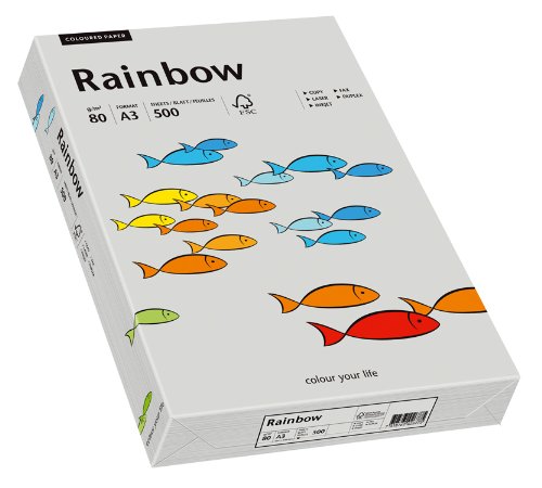 Papyrus 88042808 Farbiges Kopierpapier, Bastelpapier: Rainbow 80 g/m², A3, 500 Blatt, Grau von Papyrus