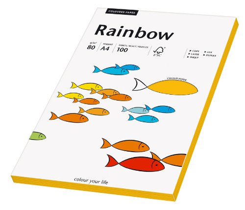 Papyrus Multifunktionspapier Rainbow, DIN A4, 80 g/qm, mittelorange, 100 Blatt von Papyrus