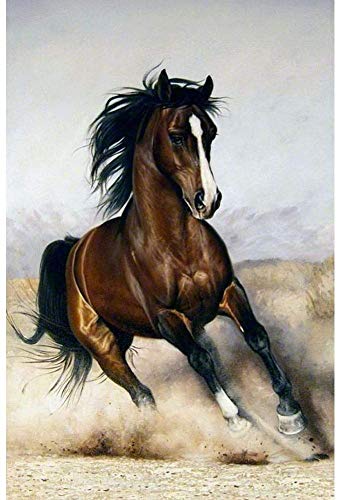 ParNarZar 5D Diamond Painting Runde Stein Laufender Hengst 35x55cm für Eingang, Haus, Wand, Wohnstub Und Treppe Dekoration von ParNarZar
