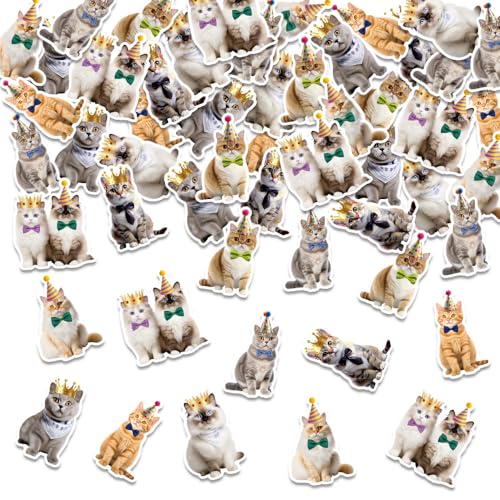 ParPix 100 Stück Katzen Geburtstag Konfetti von ParPix