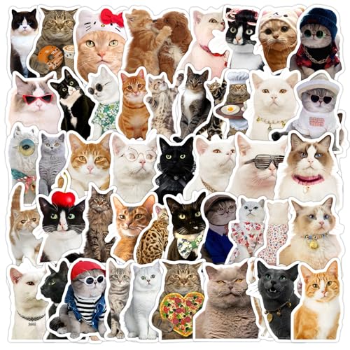ParPix 50 Stück Katzen Sticker, Groß 6cm Kinder Sticker Katzen, Wasserfeste Aufkleber Katzens Geburtstag Deko, Geburtstagsdeko Katze Stickers, Katzenmotiv Aufkleber für Koffer Laptops Wasserflasche von ParPix