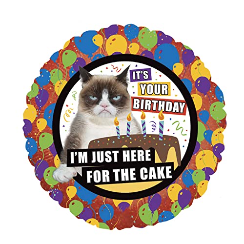 Party Factory Folienballon Grumpy Cat -It´s your birthday - Heliumballon, lustiger Luftballon, Geburtstag, Party, Dekoration Party Factory Folienballon Grumpy Cat -It´s your birthday - Heliumballon, lustiger Luftballon, Geburtstag, Party, Dekoration von Party Factory