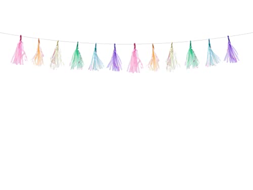 PartyDeco Girlande Quasten Mix 12m Geburtstag Hochzeit Hochzeit PartyDeco Girlande Quasten Mix 12m Geburtstag Hochzeit Hochzeit von PartyDeco