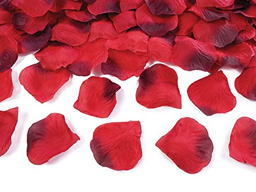 PartyDeco Rosenblätter – Blütenblätter Streudeko Hochzeit Blätter Rosenblüten – Rot, 500 Stück von PartyDeco