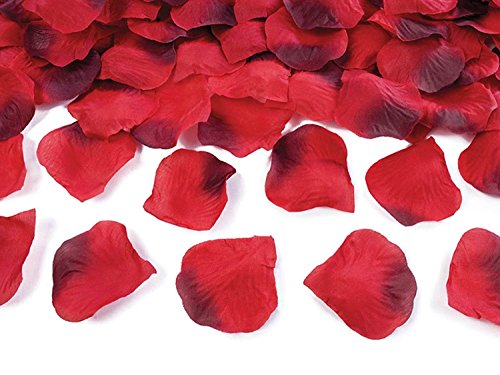 PartyDeco Rosenblätter – Blütenblätter Streudeko Hochzeit Blätter Rosenblüten – Rot, 500 Stück PartyDeco Rosenblätter – Blütenblätter Streudeko Hochzeit Blätter Rosenblüten – Rot, 500 Stück von PartyDeco