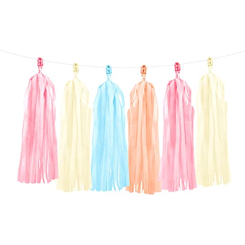 Tassel Girlande Quasten Mix Pastell 12Stk./200cm TG7 Tassel Girlande Quasten Mix Pastell 12Stk./200cm TG7 von PartyDeco