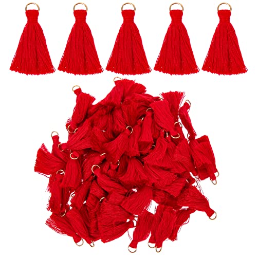 PartyKindom 100 Stück Mini Quasten Anhänger Rot DIY Troddel Pendants für Schmuck Schlüsselanhänger Deko Bastelprojekte Vielseitig Einsetzbar PartyKindom 100 Stück Mini Quasten Anhänger Rot DIY Troddel Pendants für Schmuck Schlüsselanhänger Deko Bastelprojekte Vielseitig Einsetzbar von PartyKindom