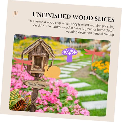 PartyKindom 30 Stück Teiliges Holzscheiben mit Motiven Schnecke Pilz Libelle Natürliche DIY Holzscheiben Bemalen Gravieren Basteln und Dekorieren Nachhaltiges Holzmaterial PartyKindom 30 Stück Teiliges Holzscheiben mit Motiven Schnecke Pilz Libelle Natürliche DIY Holzscheiben Bemalen Gravieren Basteln und Dekorieren Nachhaltiges Holzmaterial von PartyKindom