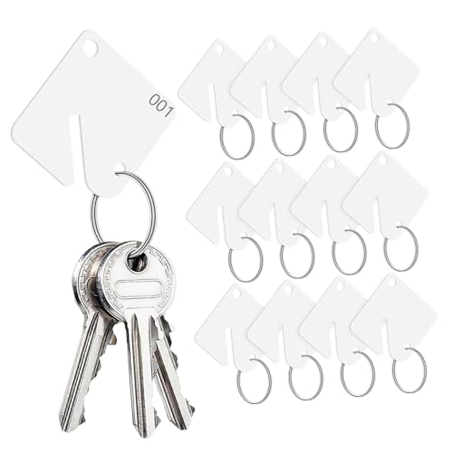 PartyKindom 60 Stück Acryl Schlüsselanhänger Blanko Schlüsselanhänger Etiketten Schlüsselanhänger Schlüsselanhänger Rohlinge Schlüsselanhänger Schlüsselidentifikationsanhänger von PartyKindom