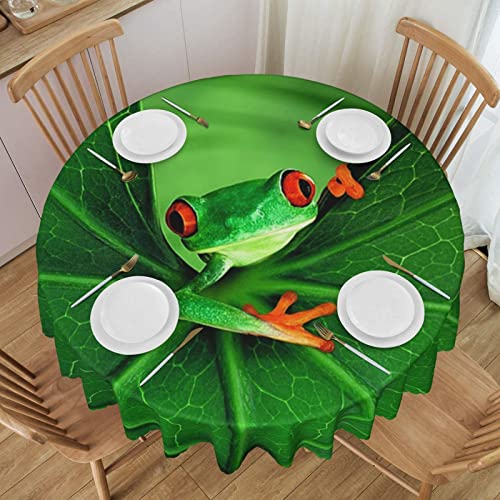 Runde Tischdecke, Frosch, aus Spitze, waschbar, Polyester, rund, perfekt für Buffet-Tische, Partys, 152 cm Runde Tischdecke, Frosch, aus Spitze, waschbar, Polyester, rund, perfekt für Buffet-Tische, Partys, 152 cm von PartyUnix