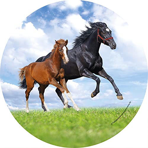 8 Party-Teller * PFERD & FOHLEN * für Kindergeburtstag und Mottoparty | Pferde Pony Reiten Kinder Geburtstag Partyteller Pappteller Motto Mädchen von Partystrolche