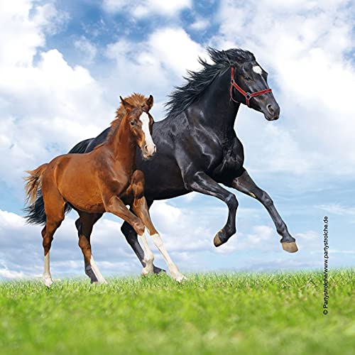 Partystrolche Kindergeburtstag Pferde Pony 16 Servietten NEU Partystrolche Kindergeburtstag Pferde Pony 16 Servietten NEU von Partystrolche