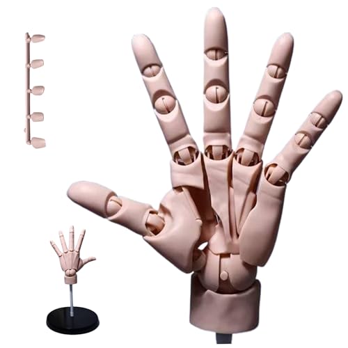 Hand Mannequin, PVC 1/1 Skala Handmodell, bewegliche Gelenk Mannequin Hand mit Basis, Manikin Hand zum Zeichnen von Malerei, Skizzieren (Stil 2) von Pastoralist