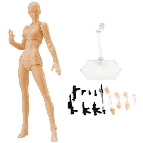 POABLE DAWNE MANNEQUIN, einstellbare Künstlerfigurmodell mit Ständer, Leichtes Skizzierwerkzeug für Malerei, Anatomiereferenz für Künstler (weiblich) von Pastoralist