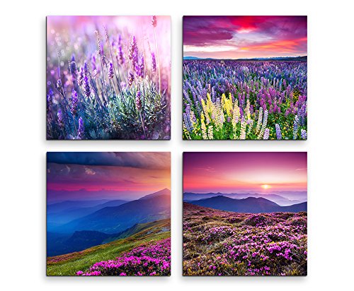 Sinus Art 4 Bilder Set je 40x40cm Lavendel Blumenwiese Sommer Sinus Art 4 Bilder Set je 40x40cm Lavendel Blumenwiese Sommer von Paul Sinus Art