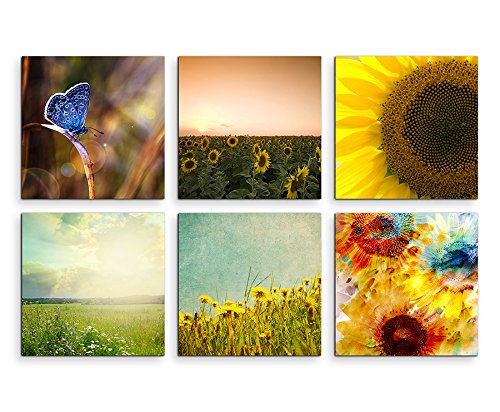 Sinus Art Bilder Set 6 STK je 40x40cm Schmetterling Sonnenblumen Blumenwiese Ölmalerei Sinus Art Bilder Set 6 STK je 40x40cm Schmetterling Sonnenblumen Blumenwiese Ölmalerei von Paul Sinus Art